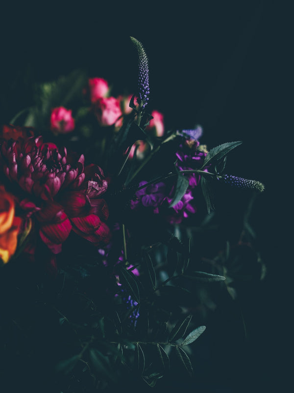 Preservation Balance