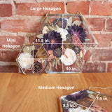 Hexagon Metal Frame Gallery