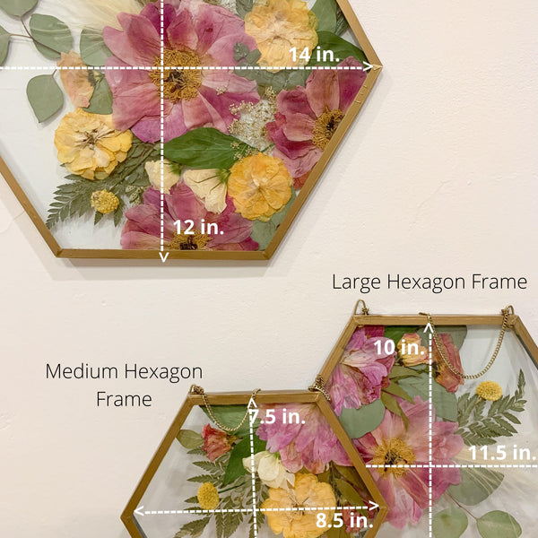 Hexagon Metal Frame Gallery